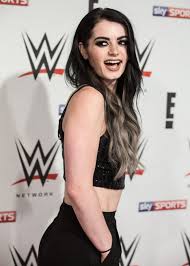 Exploring The Online Landscape: What Paige WWE Porn Searches Show Us