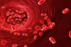 Pin On Platelets
