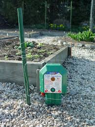 How do i keep groundhogs out of my garden. Groundhog Fence Still Working Pennlive Com