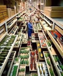 Naturkundemuseum In Washington Schatze Im Archiv Der Spiegel Wissenschaft Mit Bildern Museum Archiv Hinter Den Kulissen