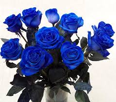 Image result for karangan bunga mawar biru
