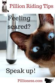 riding pillion should be fun not scary riding feeling scared feelings