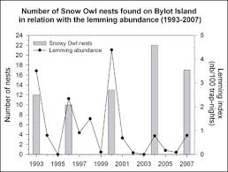 Wildlife Encounters Adaptations Predator Vs Prey