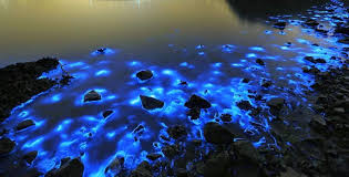 Malaysia merupakan negara tetangga yang cukup menarik untuk dikunjungi. Gila 15 Tempat Menarik Di Malaysia Tapi Macam Overseas