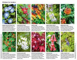 View a list of vines by common name or scientific name below. 30 Of The Best Climbing Plants Climbing Plants Best Climbing Plants Trellis Plants