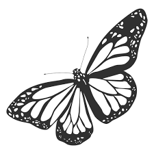 Monarch Butterfly Silhouette Ad Ad Sponsored Silhouette Butterfly Monarch Butterflies Vector Monarch Butterfly Butterfly