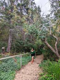 Explore Alberta: 4 Attractions to Check Out In And Around Red Deer (plus  places to eat!)