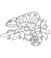 Alaska photography / getty images on the first saturday in march each year, people from all over the. Chameleon Coloring Pages Free Printables Momjunction