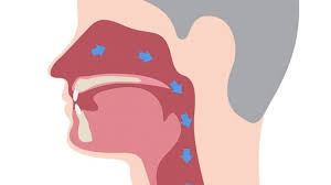 Pictures of the inside of the nose. Tiny Device Could Help People Who Suffer From Chronic Breathing Problems Abc News