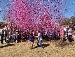 Gender Reveal Confetti Cannon Kit 2 Blue 2 Pink Superior Celebrations