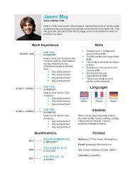 From this section the employer should start reading the candidate's cv. Sales Cv Templates Free Sales Cv Examples Download Edit