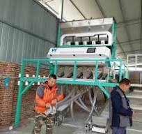 Poland Rye Beans Color Sorter Machine For White Beans ...