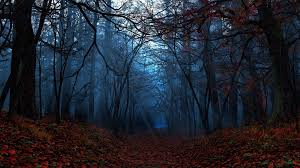 Autumn Forest Wallpaper Full Hd Dark Fall Wallpaper Hd 1920x1080 Download Hd Wallpaper Wallpapertip You will definitely choose from a huge number of pictures that option that will suit you exactly! autumn forest wallpaper full hd dark