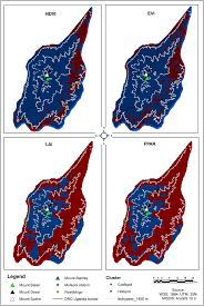 Image result for Aster milanjianus
