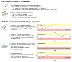 Some windows users are encountering the error 401 not allowed when attempting to purchase once the cookies & cache are cleaned, restart your browser and see if the error 401 not allowed is. Bg Stable Isotopes Track The Ecological And Biogeochemical Legacy Of Mass Mangrove Forest Dieback In The Gulf Of Carpentaria Australia