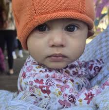 Ways to use leftover shredded chicken for dinner?