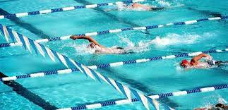 Olimpik yüzme havuzunda olması gereken özellikler, uluslararası yüzme federasyonu (fina) standartlarına göre düzenlenir ve bu kurallara uygun yüzme havuzu inşa edilmelidir. Olimpik Yuzme Havuz Olculeri