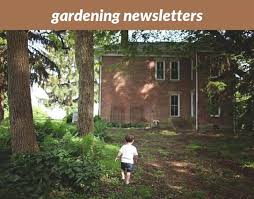 Gardening Newsletters_559_20180915180721_53 Landscape