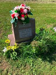 Terms in this set (6). Carmen V Corey Chasse 1943 2019 Find A Grave Memorial