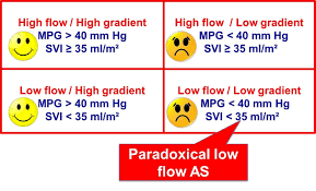 aortic valve stenosis evaluation and management of patients