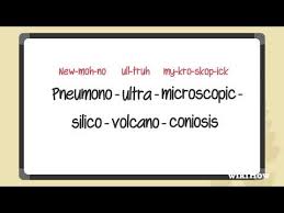 The second syllable (disease) is the one which is stressed, so an s and a z sound should be hard to distinguish from each other. How To Pronounce The Longest Word In The English Dictionary