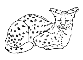 Disegni facili foto mamma pourfemme avec disegno di natale et 450 x 300 jpg pixel. Disegni Da Colorare Per Bambini Uffolo