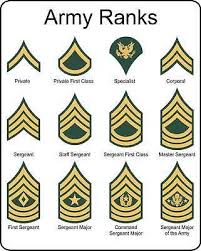 Shows Military Rankings Army Ranks Military Ranks Army