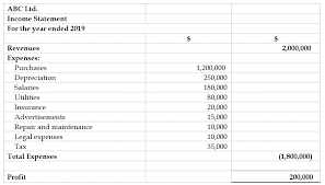 For the year ended december 31, 2018. Income Statement Present By Nature Wikiaccounting