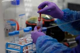 Scientists reportedly told ministers the nepal variant had spread to europe. C0dltufhjsp16m