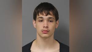 Father, son facing charges after dog deaths in LaPorte County