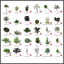The place to share and download sketchup 3d models for architecture, design, construction, and fun. 3d Model Tree Sketchup Free Download 3dzip Org 3d Model Free Download