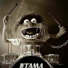 Tommy Lee Lol With Images Animal Muppet Drums Drummer