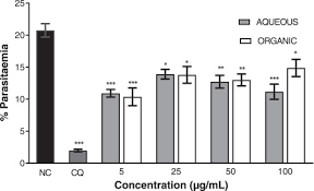 Image result for Diospyros chamaethamnus