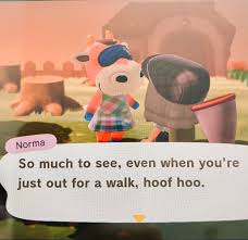 It's costly, but if you bite the bullet, you'll be able to store up to 2,400 items in your home. Yeah Sure Whatever You Say Norma Animalcrossing