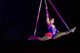 Circus Acrobat Plunges 12 Feet To The Ground In 'Horrific' Accident
