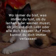 Á Beliebte Freundschaftsspruche Spruche Zum Thema Freundschaft