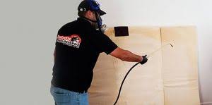City pest control is a tiny local company covering brighton, hove, worthing, newhaven, hayward's heath, burgess hill, lewes. Pest Control In Brighton Hove Fantastic Pest Control