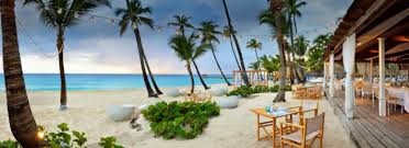 Тур в отель catalonia royal tulum (adults only 18+). Catalonia Royal Tulum Cheap Vacations Packages Red Tag Vacations