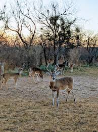 Entrance to the Gristmill restaurant. It's one of a kind