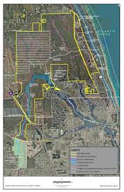 Image result for Lipocarpha atra