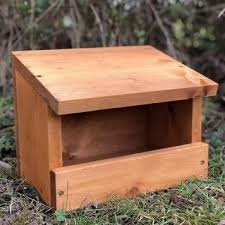 Image result for Flyte Blackbird Nest Box