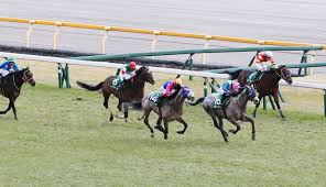 何をお探しですか？ see by chloé summer 2021 1日をロマンチックに演出するコレクション. ãƒ€ã‚¤ãƒ¤ãƒ¢ãƒ³ãƒ‰ã‚¹ãƒ†ãƒ¼ã‚¯ã‚¹2021 å‡ºèµ°äºˆå®šé¦¬ äºˆæƒ³ã‚ªãƒƒã‚º äººæ°—é¦¬è¦‹è§£ ï½†å¼ç«¶é¦¬