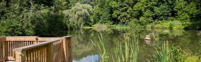 From bingo to dinner and dancing, you'll find fun creative things to do with elderly folks in nj! Public Golf Courses North Park South Park Allegheny County Parks
