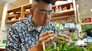 Obituary: Simon Chan made breakthroughs in plant breeding