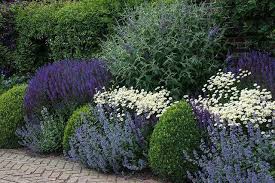 Idea Methods Plus Manual In Pursuance Of Getting The Finest End Result And Creating The Optimum Us Garden Shrubs Perennials Low Maintenance Herbaceous Border