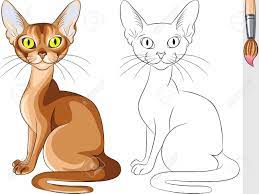 coloring book vecteur pour les enfants de droles grave abyssin chat rouge clip art libres droits vecteurs et illustration image 16681724 coloriage sucette xl