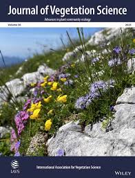 Image result for Julbernardia globiflora