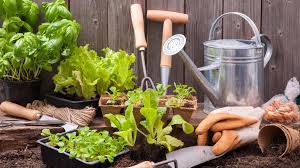 Home decor and garden that everyone will love. 8 Home Gardening Tips Ideas To Grow More Reduce Waste