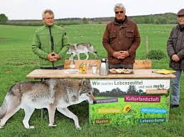 Aktuelle nachrichten aus dem blaulichtbereich, news aus deutschland und der welt. Reaktionen Zu Positionspapier Wolfsfreie Weiden