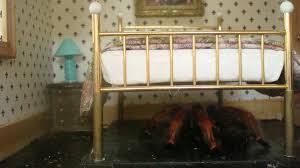 Image result for giant spider hiding under floor